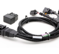 Chicote Plug & Play